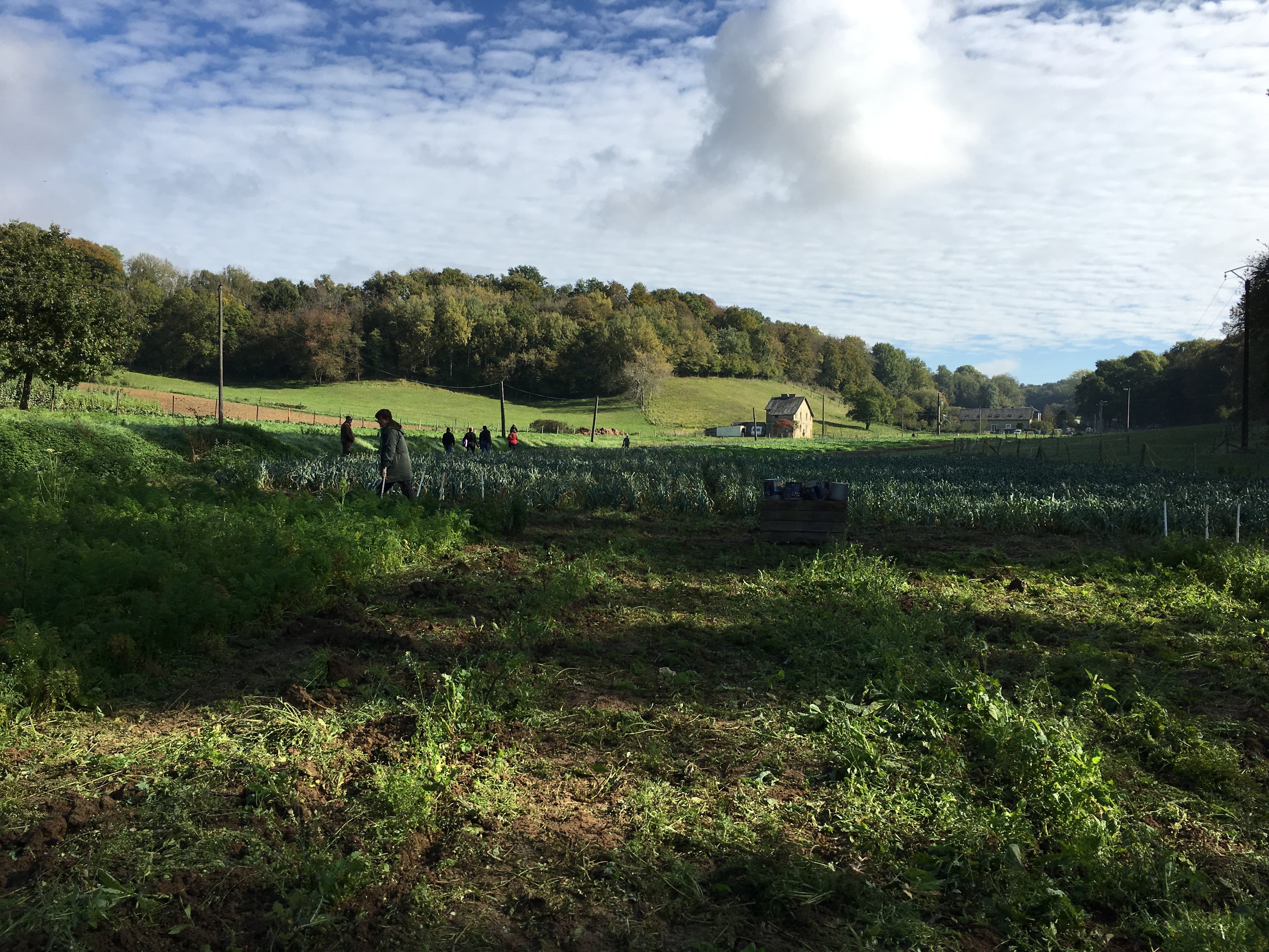 La ferme de Moyembrie